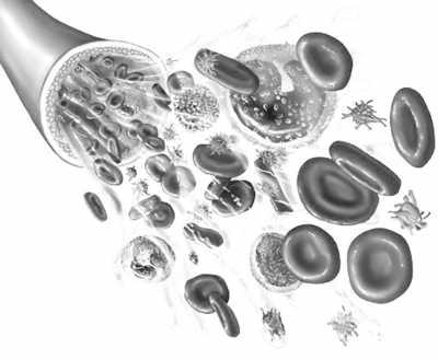 红细胞跟贫血直接相关 血液里有哪些重要指标