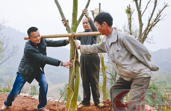 企业家投资千万建生态养生园