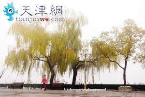 骤降10℃!今明迎较强降温 天津首发今冬寒潮预警