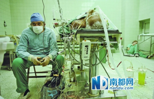 1987年，波兰一家医院，做了20多个小时手术后的医生。昨日，这幅照片被医生同行贴出，称“放在中国会怎样”。