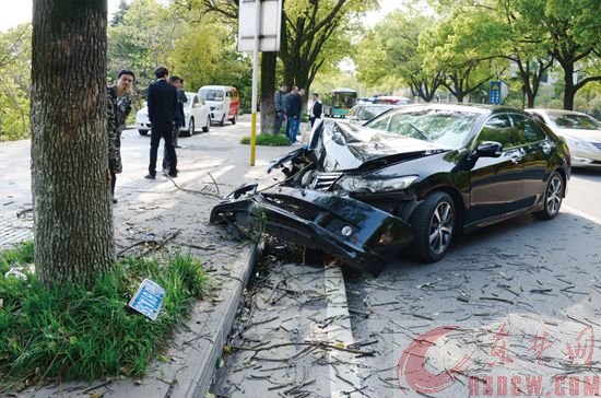 女子开车打盹 车撞路边樟树　交警提醒：赞成不要疲劳驾驶