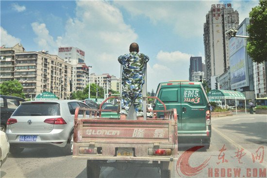 人车混装不安全