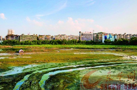 青山湖4个子湖,等你来命名(主) 青山湖4个子湖,等你来命名(主)