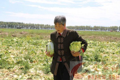 平时舍不得浪费一滴粮