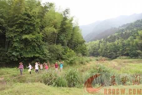 父子山登山健身步道 请您来写主题宣传语
