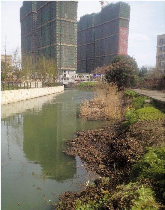 宁波公元世家小区门口的河 为何一边清澈一边脏乱差