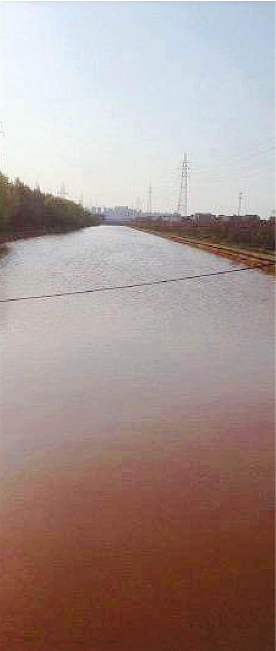 杭州湾新区“黄金河”系被工厂污染 年底将恢复正常