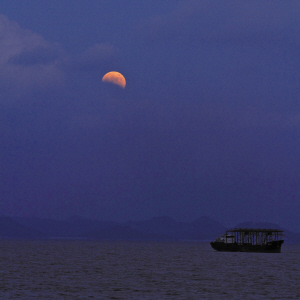 期待明晚天公作美满城可睹红月高悬