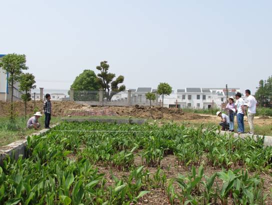 京山县审计人员当好级生态镇村建设“监督员”