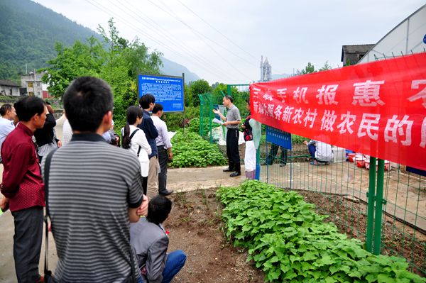 宜昌外来物种水花生有了天敌“叶甲”