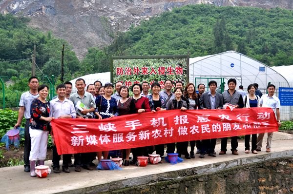 宜昌外来物种水花生有了天敌“叶甲”