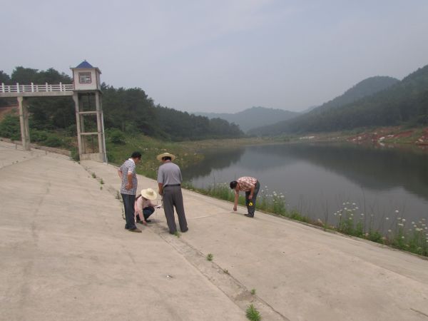 京山县加快险库除险加固审计未雨绸缪防洪涝