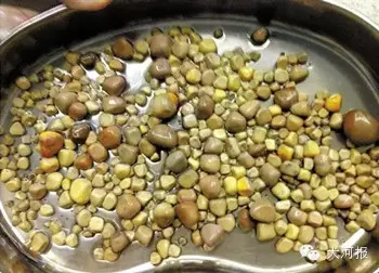 恐怖!男子肾里长420颗石头 因爱吃这个菜还……
