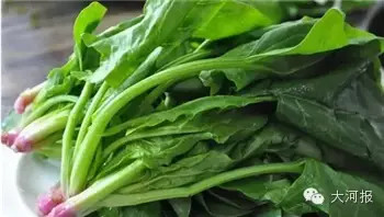 恐怖!男子肾里长420颗石头 因爱吃这个菜还……