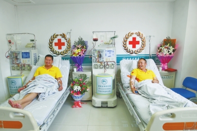 河南俩小伙成功为俩老外捐献“生命种子”