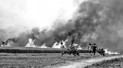风挟大火滚滚来麦收防火胜救火