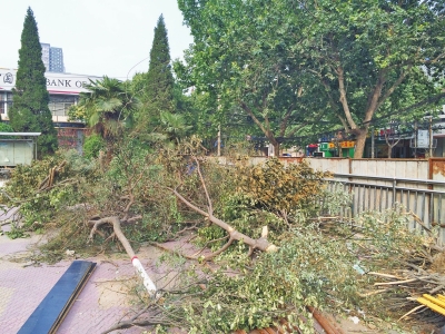 哈尔滨一广场两侧突建门面房 回应：曾下违建停工通知