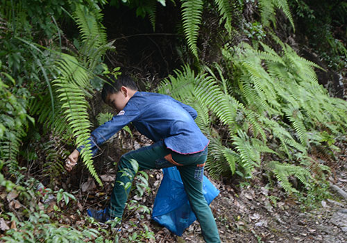 守护青山绿水 我们说干就干