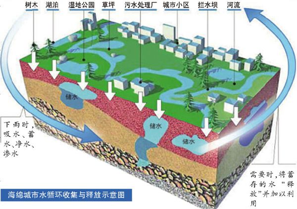 海绵城市水循环收集与释放示意图