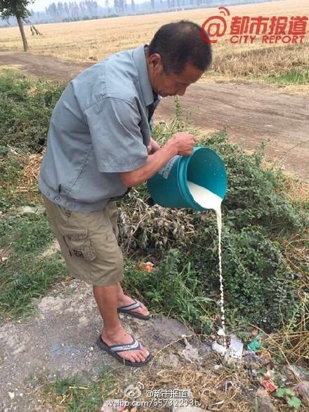 牛奶遭蒙牛拒收 焦作阳庙镇奶农当街倒奶