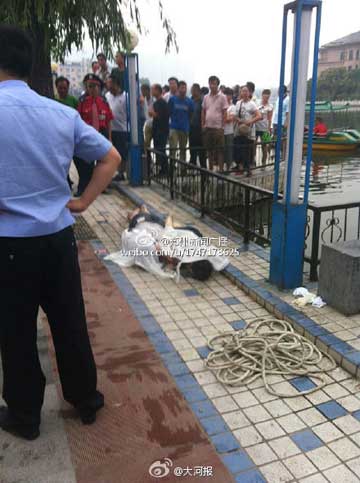 哈尔滨一对年轻男女凌晨帝湖溺亡 死前疑似发生过争吵