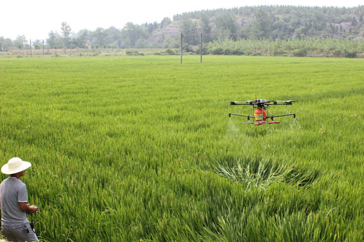 三阳镇推广使用植保无人机防治示范水稻病虫害