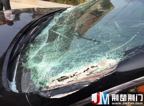 c03fd50bb5181746799933