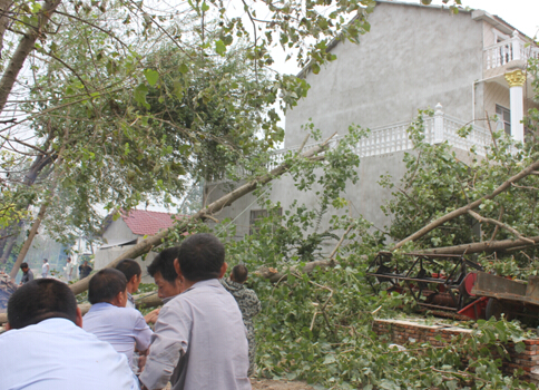 罗汉寺、易家岭遭龙卷风袭击