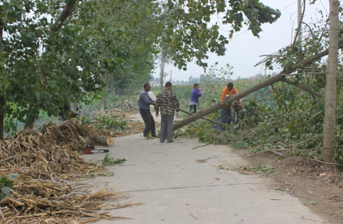 罗汉寺、易家岭遭龙卷风袭击