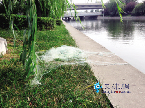 一张网 误了救援误了命