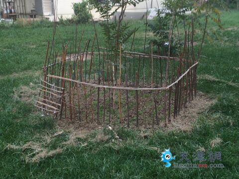 秋丽家园环境遭居民破坏 物业管理不到位遭投诉