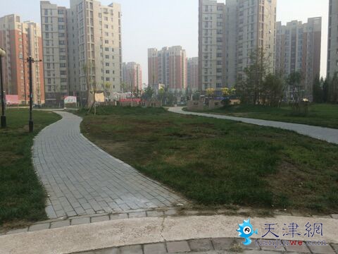 秋丽家园环境遭居民破坏 物业管理不到位遭投诉