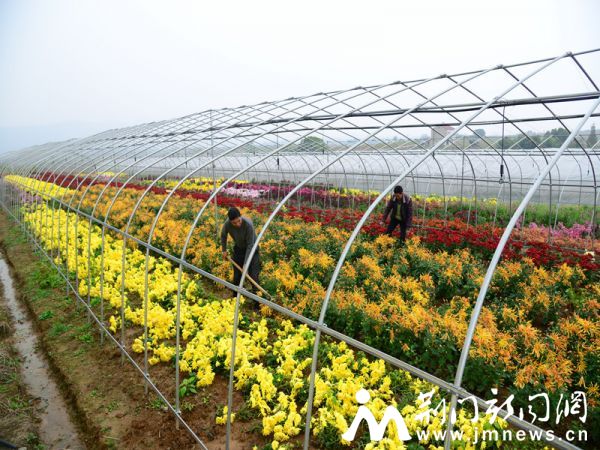 雁门口镇打造现代农业观光园_副本