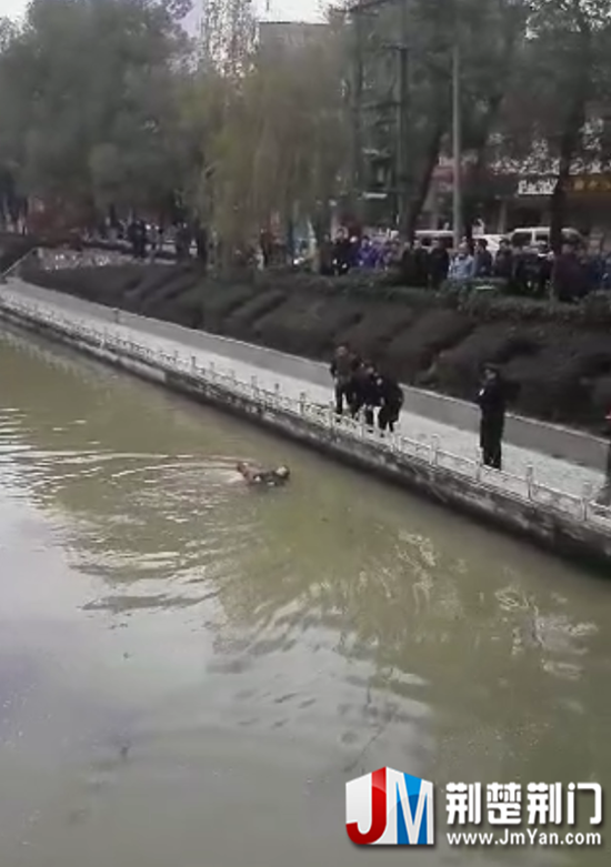 图为:民警托起老人往岸边游去