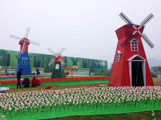 郁金香!大风车!荷兰风情园!宜昌之星那么美,我要去看看