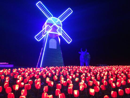 郁金香!大风车!荷兰风情园!宜昌之星那么美,我要去看看