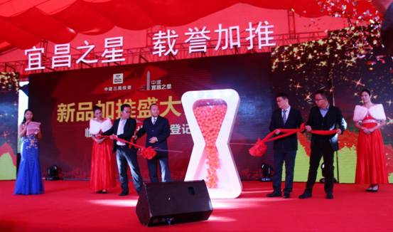 郁金香!大风车!荷兰风情园!宜昌之星那么美,我要去看看