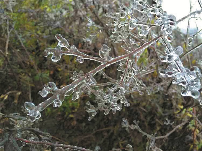 宜昌多地迎来今冬首场雪