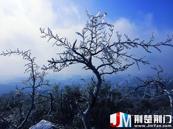 图为:黑山上出现的雾凇景观