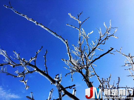 图为:黑山上出现的雾凇景观