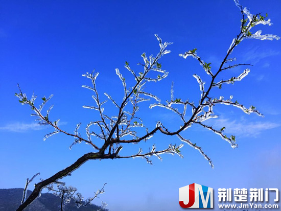 图为:黑山上出现的雾凇景观