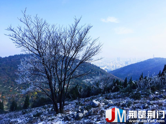 图为:黑山上出现的雾凇景观
