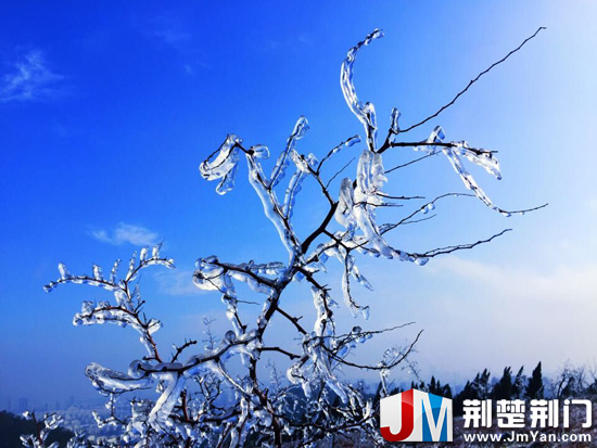 图为:黑山上出现的雾凇景观