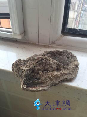 小区外墙脱落砸坏雨棚 维修费谁来承担