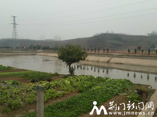 QQ图片20160120194404