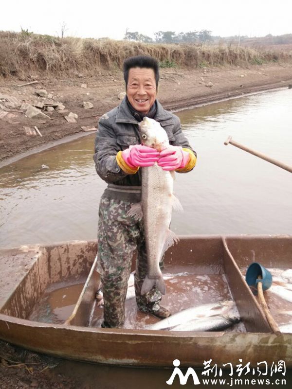 老周养殖的大白刁。