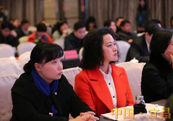 西陵区人民政府承诺2016年办好10件惠民实事