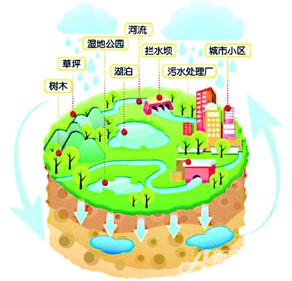 下雨时吸水、蓄水、渗水、净水 需要时将蓄存的水“释放”并加以利用
