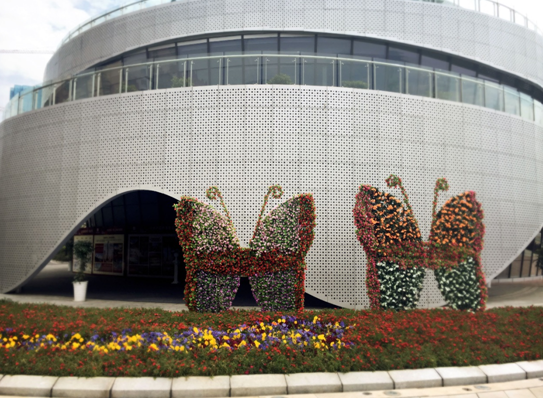 “缤纷花海,绿野春踪”——宜昌之星邀您玩转春天