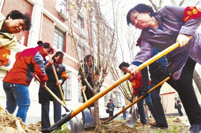 化工社区种植30株桃树 为营造良好环境增添亮色